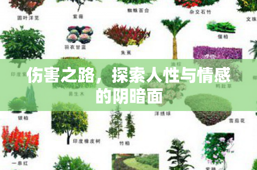 伤害之路，探索人性与情感的阴暗面