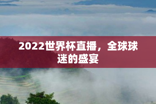 2022世界杯直播，全球球迷的盛宴