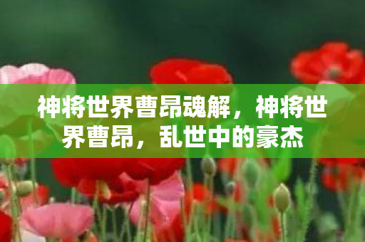 神将世界曹昂魂解，神将世界曹昂，乱世中的豪杰