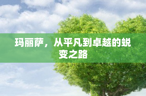玛丽萨，从平凡到卓越的蜕变之路