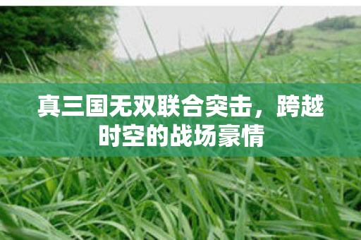 真三国无双联合突击，跨越时空的战场豪情