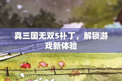 真三国无双5补丁，解锁游戏新体验