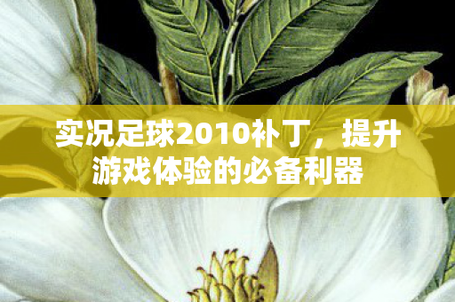 实况足球2010补丁，提升游戏体验的必备利器