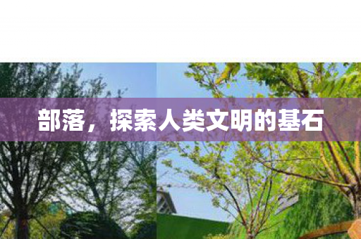 部落,探索人类文明的基石 部落,探索人类文明的基石