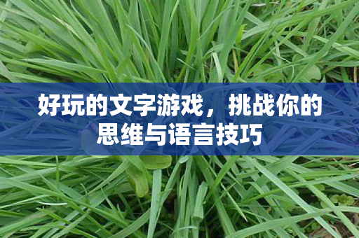 好玩的文字游戏，挑战你的思维与语言技巧