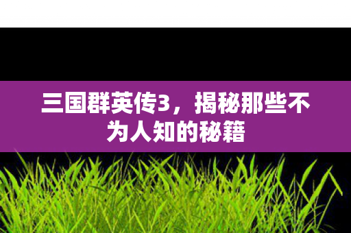 三国群英传3，揭秘那些不为人知的秘籍