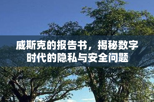 威斯克的报告书，揭秘数字时代的隐私与安全问题