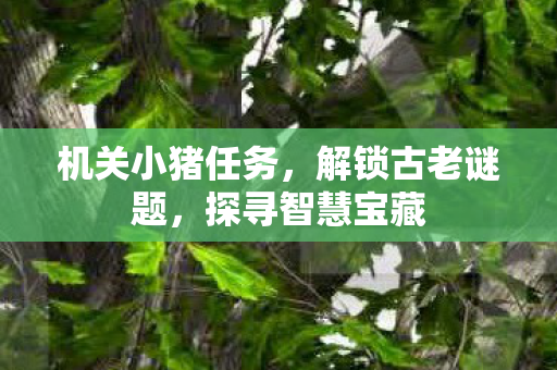 机关小猪任务，解锁古老谜题，探寻智慧宝藏