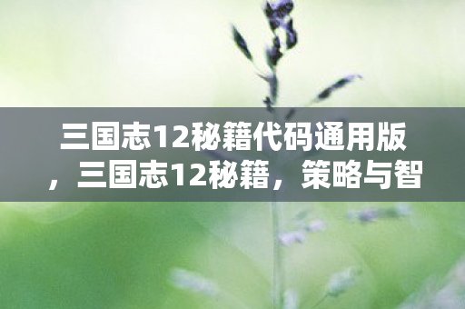三国志12秘籍代码通用版，三国志12秘籍，策略与智慧的博弈