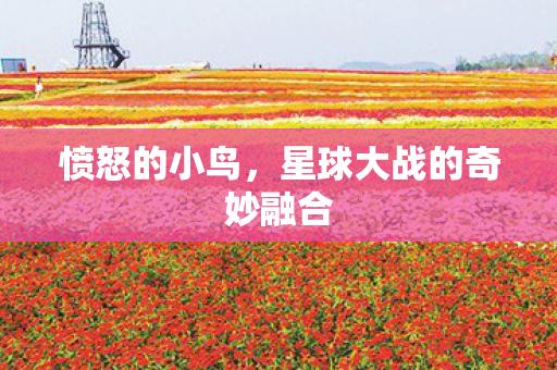 愤怒的小鸟，星球大战的奇妙融合