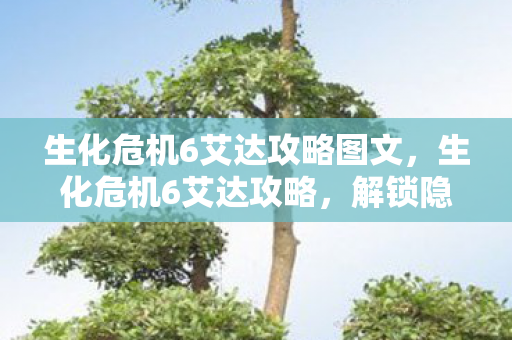 生化危机6艾达攻略图文，生化危机6艾达攻略，解锁隐藏剧情与战斗技巧