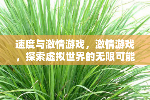 速度与激情游戏,激情游戏,探索虚拟世界的无限可能 速度与激情游戏,激情游戏,探索虚拟世界的无限可能