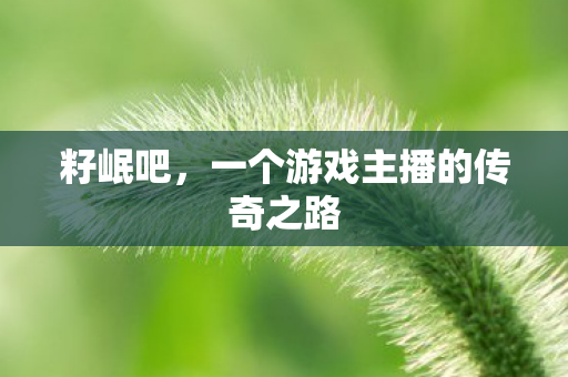 籽岷吧，一个游戏主播的传奇之路