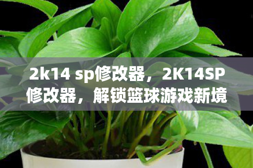 2k14 sp修改器，2K14SP修改器，解锁篮球游戏新境界的必备神器