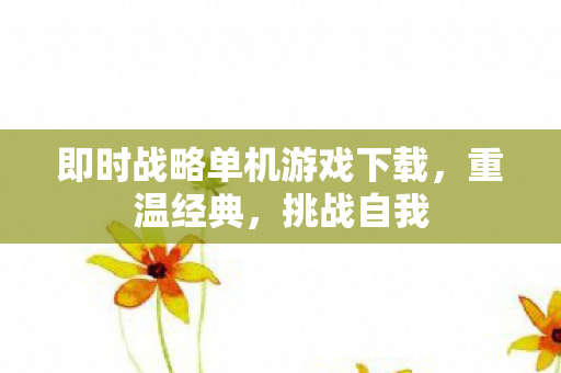 即时战略单机游戏下载，重温经典，挑战自我