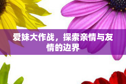 爱妹大作战，探索亲情与友情的边界