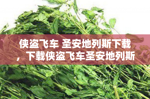侠盗飞车 圣安地列斯下载，下载侠盗飞车圣安地列斯，重温经典游戏的不朽魅力