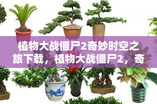 植物大战僵尸2奇妙时空之旅下载，植物大战僵尸2，奇妙时空之旅