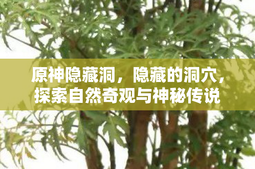 原神隐藏洞，隐藏的洞穴，探索自然奇观与神秘传说
