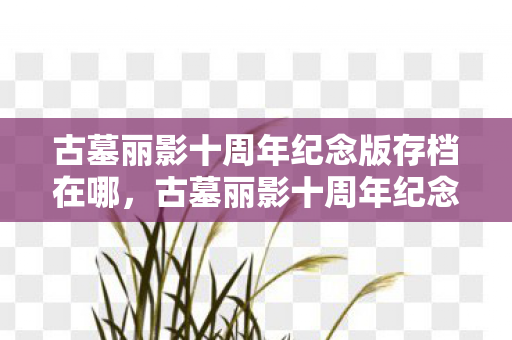 古墓丽影十周年纪念版存档在哪，古墓丽影十周年纪念版存档全解析