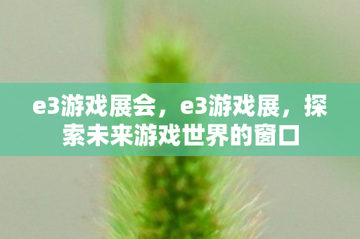 e3游戏展会，e3游戏展，探索未来游戏世界的窗口