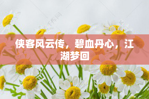 侠客风云传，碧血丹心，江湖梦回