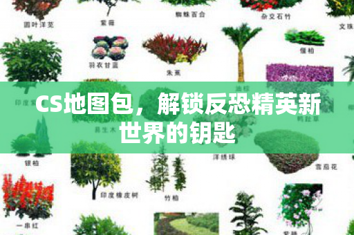 CS地图包，解锁反恐精英新世界的钥匙