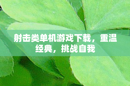 射击类单机游戏下载，重温经典，挑战自我