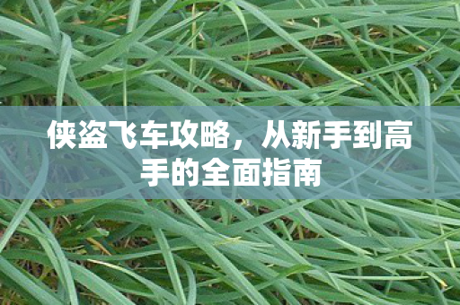 侠盗飞车攻略,从新手到高手的全面指南 侠盗飞车攻略,从新手到高手的全面指南