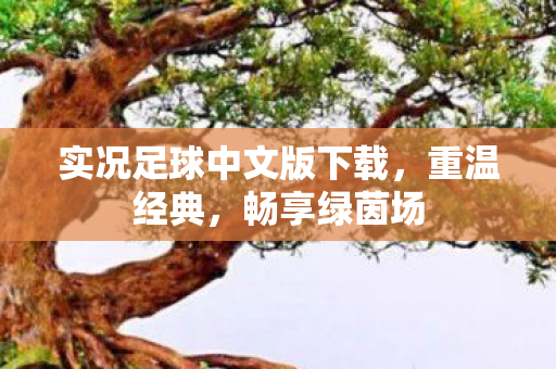 实况足球中文版下载,重温经典,畅享绿茵场 实况足球中文版下载,重温经典,畅享绿茵场
