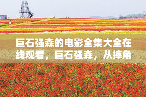 巨石强森的电影全集大全在线观看，巨石强森，从摔角巨星到好莱坞巨星的华丽转身