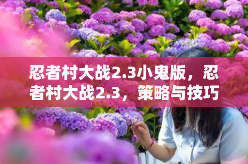 忍者村大战2.3小鬼版，忍者村大战2.3，策略与技巧的深度解析