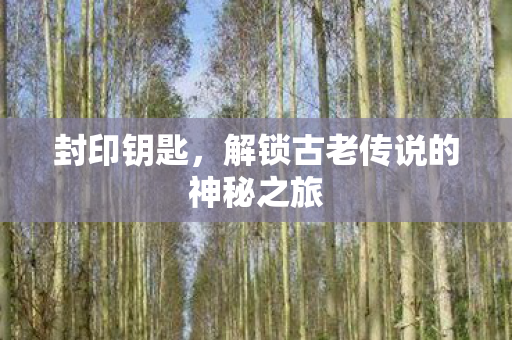 封印钥匙，解锁古老传说的神秘之旅