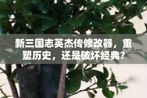 新三国志英杰传修改器，重塑历史，还是破坏经典？