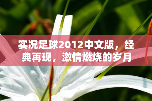 实况足球2012中文版,经典再现,激情燃烧的岁月 实况足球2012中文版,经典再现,激情燃烧的岁月