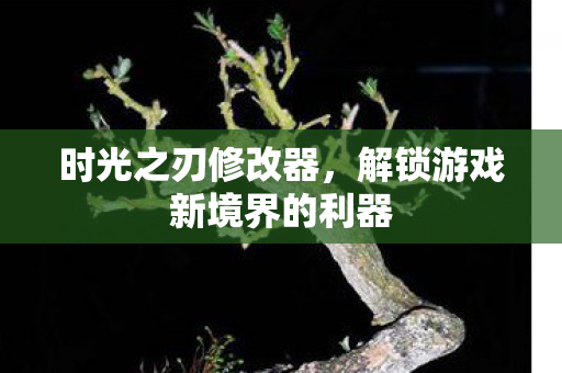 时光之刃修改器，解锁游戏新境界的利器