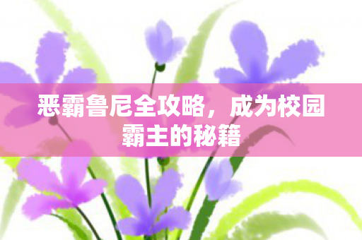 恶霸鲁尼全攻略,成为校园霸主的秘籍 恶霸鲁尼全攻略,成为校园霸主的秘籍