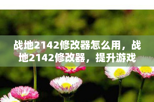 战地2142修改器怎么用,战地2142修改器,提升游戏体验的神奇工具 战地2142修改器怎么用,战地2142修改器,提升游戏体验的神奇工具