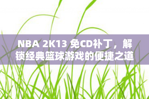NBA 2K13 免CD补丁，解锁经典篮球游戏的便捷之道