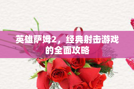 英雄萨姆2，经典射击游戏的全面攻略