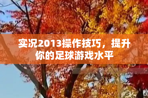 实况2013操作技巧,提升你的足球游戏水平 实况2013操作技巧,提升你的足球游戏水平