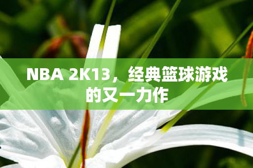 NBA 2K13，经典篮球游戏的又一力作