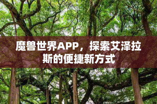 魔兽世界APP，探索艾泽拉斯的便捷新方式