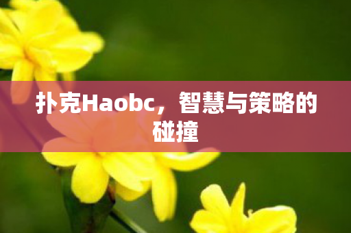 扑克Haobc，智慧与策略的碰撞
