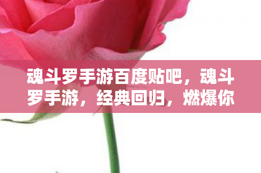魂斗罗手游百度贴吧，魂斗罗手游，经典回归，燃爆你的指尖！