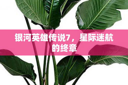 银河英雄传说7图片