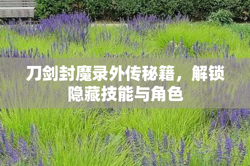 刀剑封魔录外传秘籍，解锁隐藏技能与角色