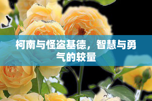 柯南与怪盗基德，智慧与勇气的较量