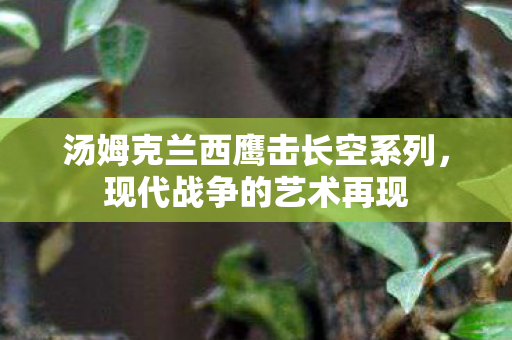 汤姆克兰西鹰击长空系列，现代战争的艺术再现