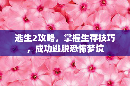逃生2攻略，掌握生存技巧，成功逃脱恐怖梦境